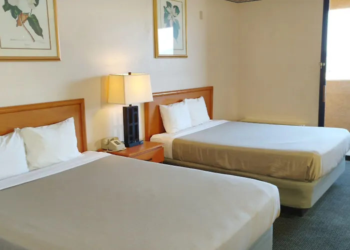 6 Havasu Az Hotel Lake Havasu City