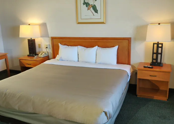 6 Havasu Az Hotel Lake Havasu City