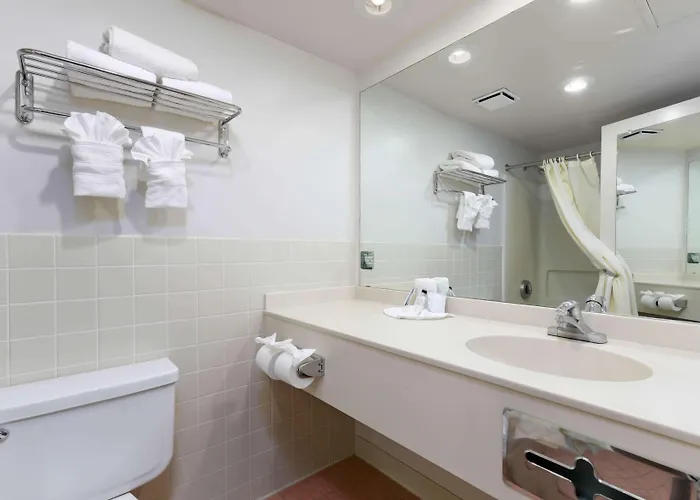6 Havasu Az Hotel